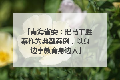青海省委：把马丰胜案作为典型案例，以身边事教育身边人